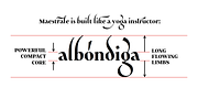 Maestrale, a Serif Font by Catharsis Fonts (Thumbnail 9 of 10)