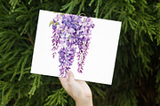 Watercolor Wisteria Garden Clipart, an Illustration by Libby Wishes (Thumbnail 5 of 7)