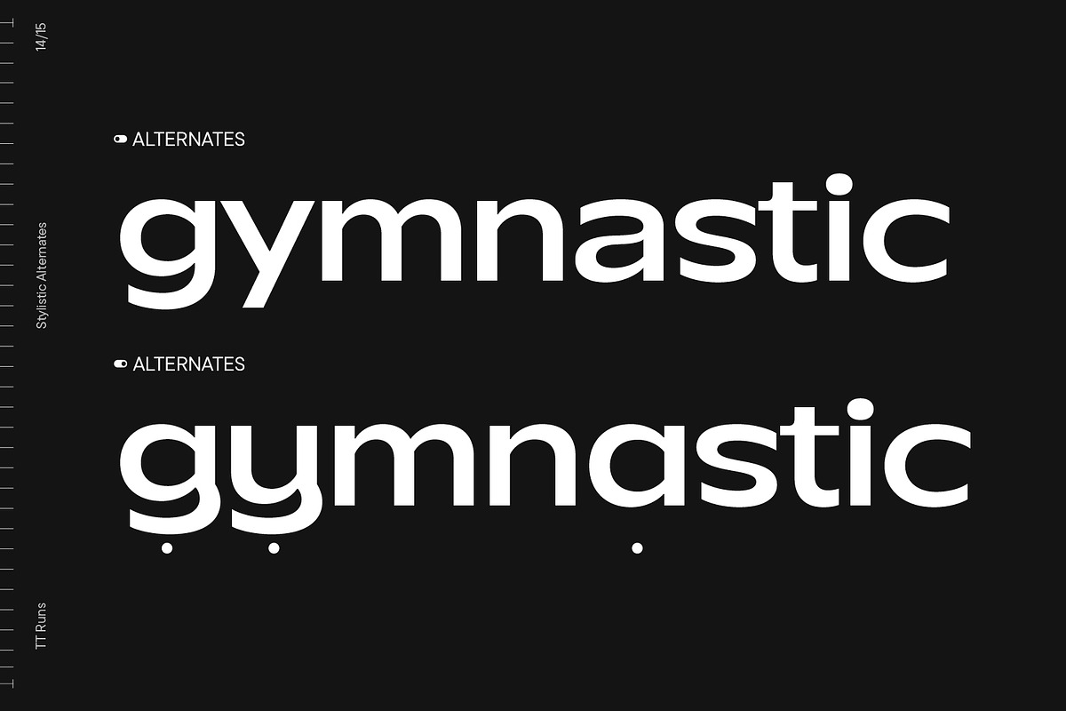 TT Runs, a Sans Serif Font by TypeType (Photo 14 of 15)