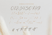 Galteniya | Beautiful Script, a Script Font by Denustudios (Thumbnail 13 of 15)
