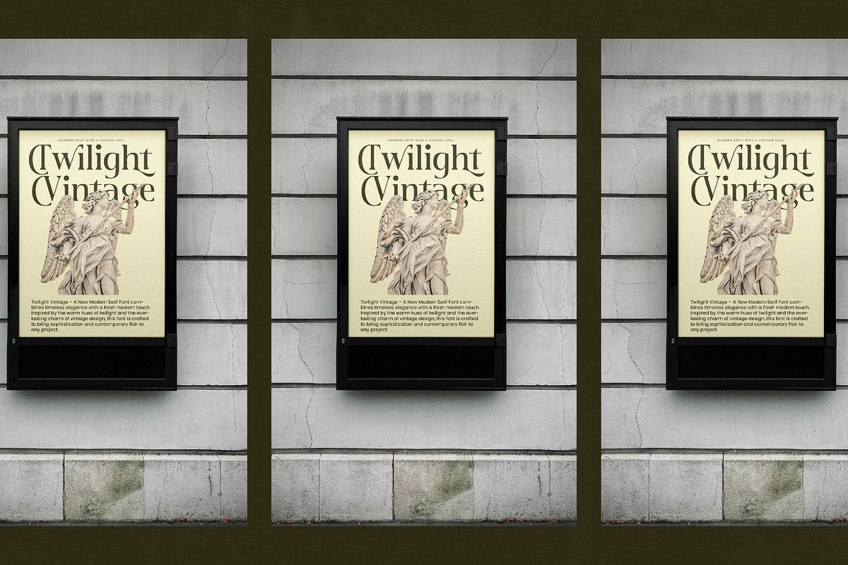 Twilight Vintage Modern Serif, a Serif Font by timelesstype.co (Photo 16 of 20)