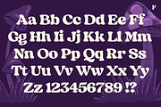 Dreamer Vintage Serif, a Serif Font by Fenotype (Thumbnail 9 of 14)