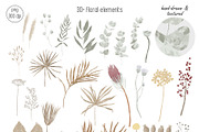 Dried flowers and backgrounds, an Object Graphic by dasha mo (Thumbnail 3 of 6)