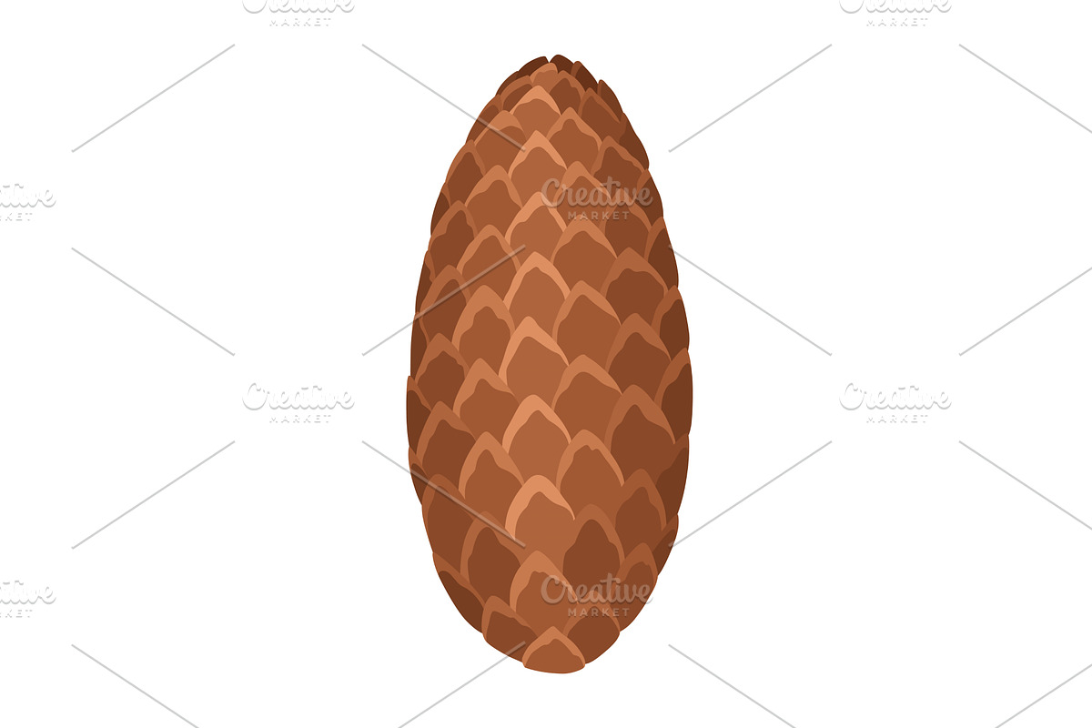 Fir or pine cone. Nature decoration, an Object Illustration by the8monkey