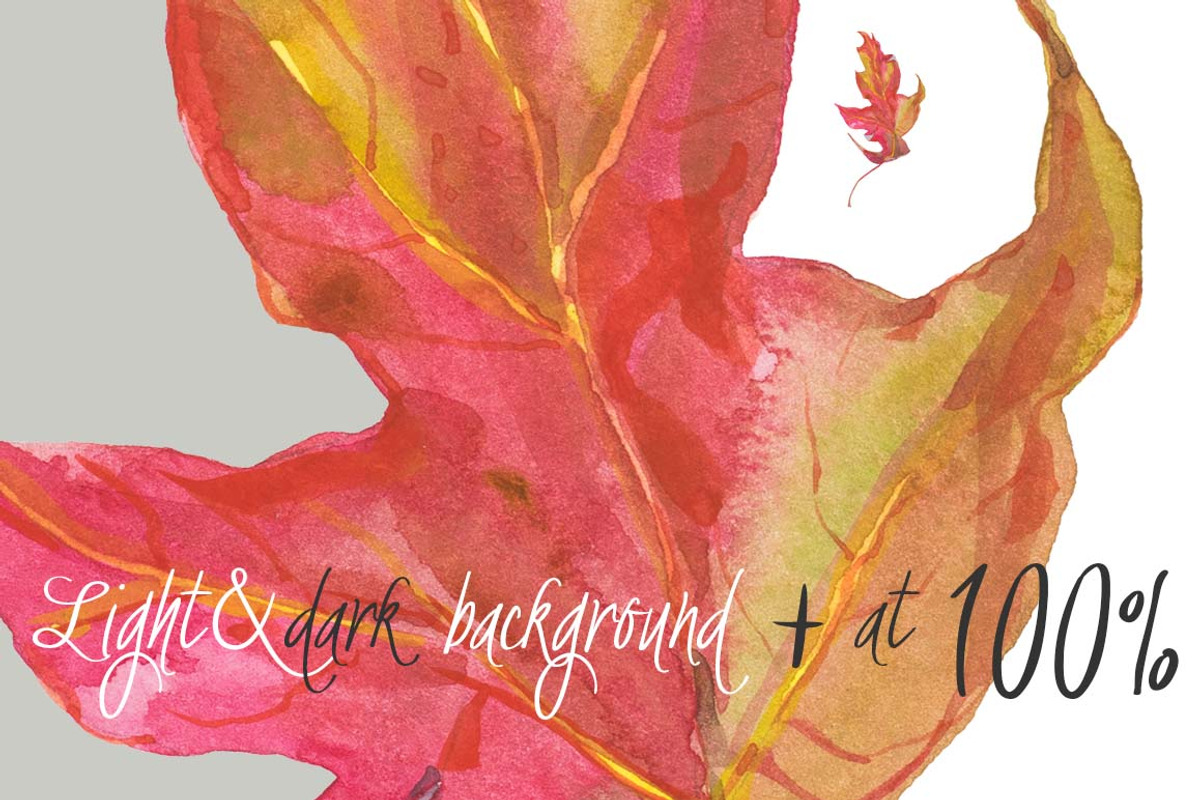 0405 Indian Summer, a Work Illustration by watercolorwild.graphics (Photo 8 of 9)