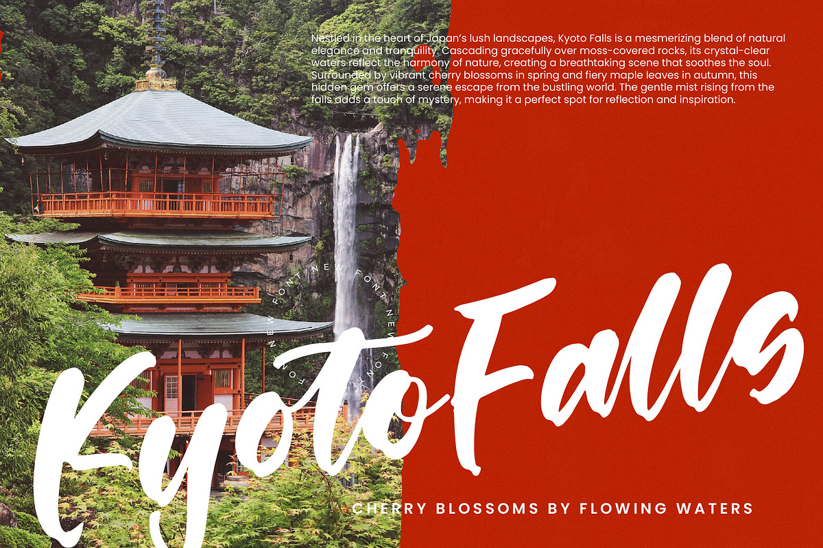 Shinobi Morning Bold Calligraphy, a Script Font by stylishtype.co (Photo 6 of 20)