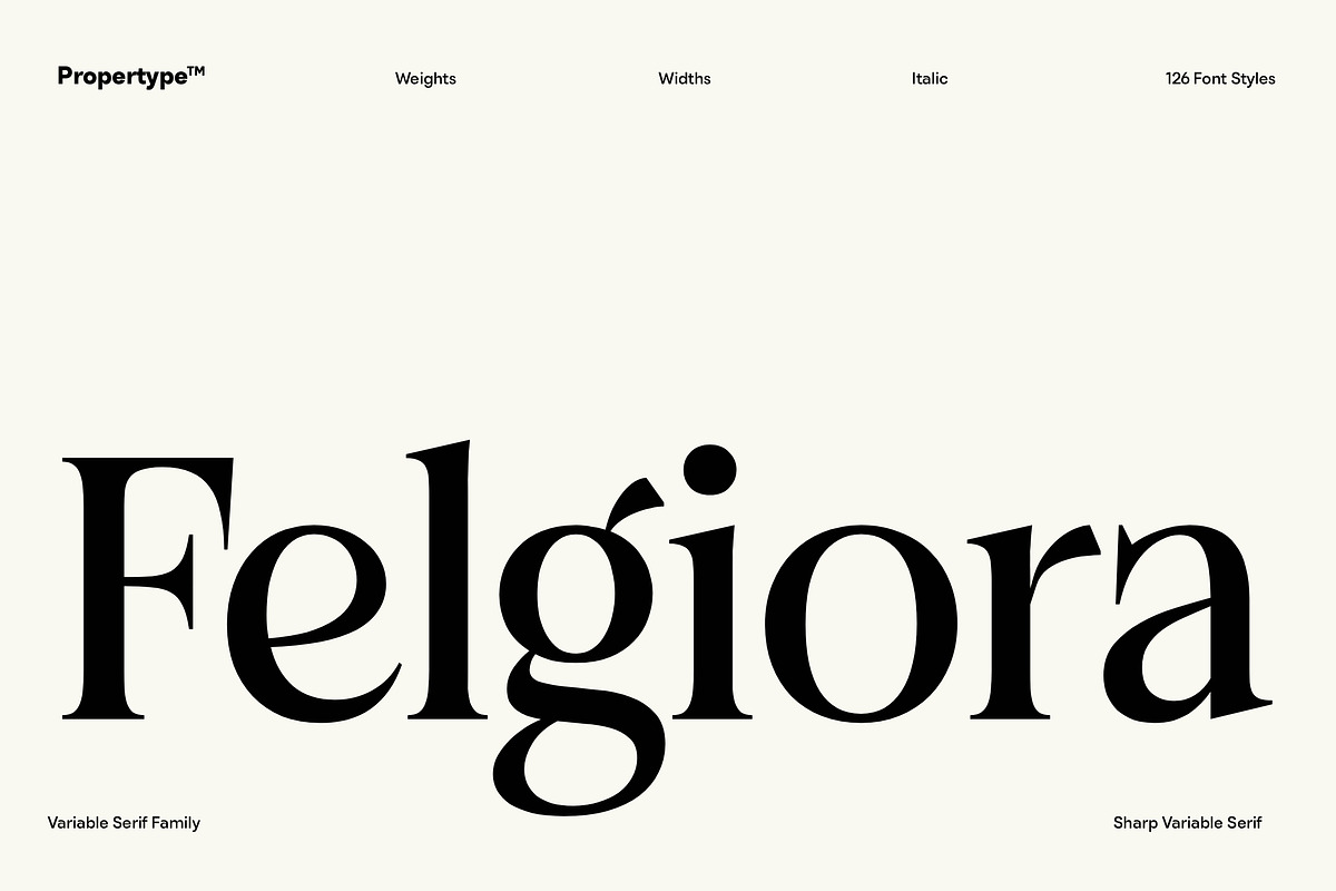 Felgiora, a Serif Font by Propertype (Photo 16 of 16)