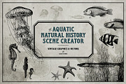 Aquatic Natural History Collection, an Object Graphic by Blixa 6 Studios (Thumbnail 1 of 24)