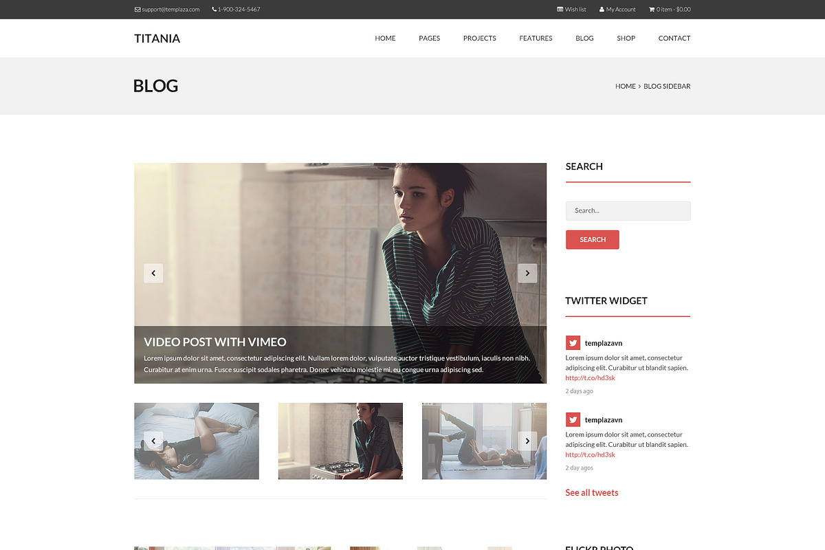 Titania - Multipurpose PSD Template, a Websites & App Template by TemPlaza (Photo 25 of 53)