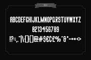 Big Stem Type Family, a Sans Serif Font by BorisG (Thumbnail 6 of 14)