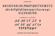 Sanderson Display Font, a Serif Font by Beck McCormick (Thumbnail 10 of 10)