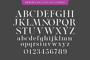Factum font family, a Serif Font by Fontop (Thumbnail 2 of 12)