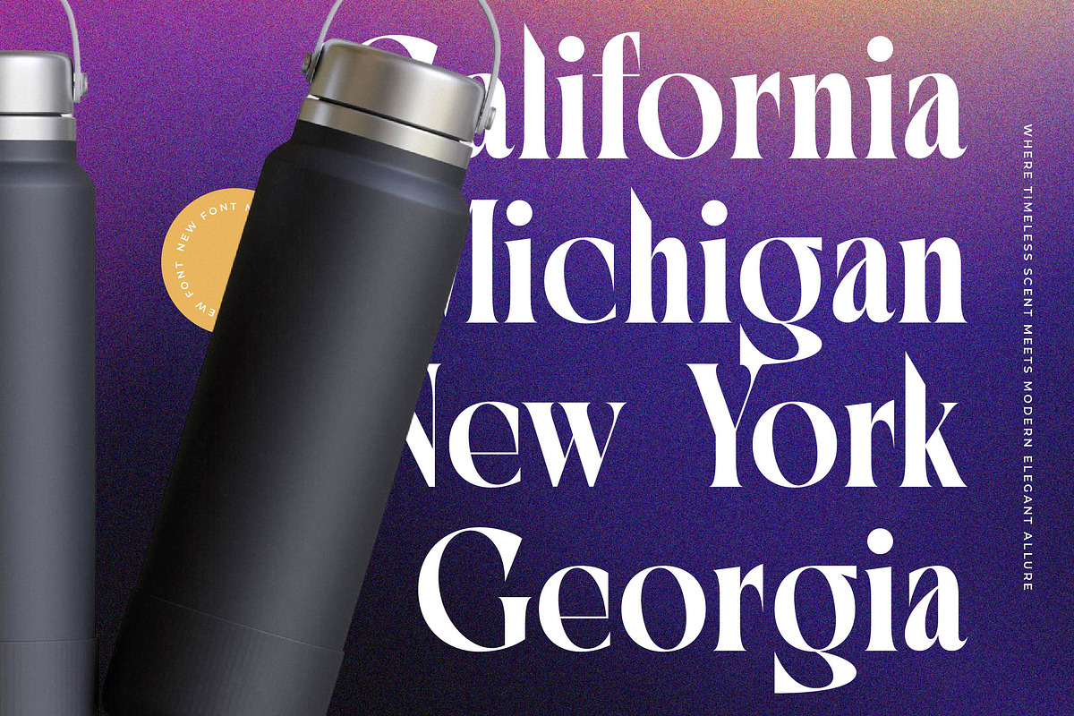 Bidqse Modern Display Serif, a Serif Font by timelesstype.co (Photo 6 of 20)