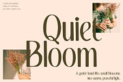 CS Belova Drawn, a Serif Font by Craft Supply Co. (Thumbnail 6 of 8)