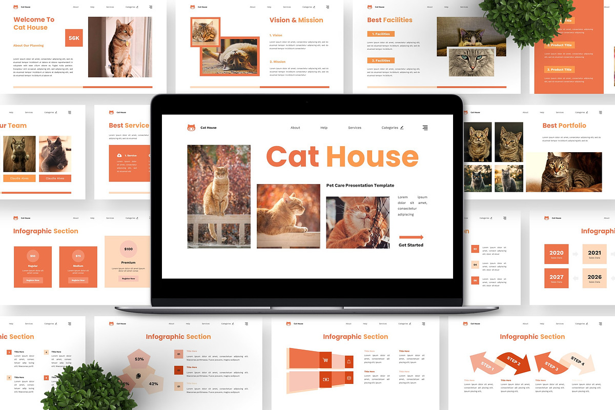 Cat House - Pet Care Powerpoint preview 3