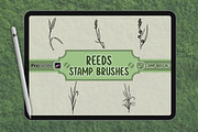Reeds Brush Stamp Set for Procreate, a Brush Add-On by vectstudio (Thumbnail 1 of 3)
