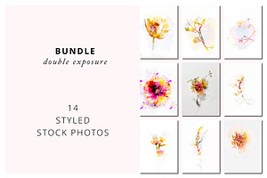 Double exposure stock photo bundle, a Nature Photo by Bloomstock studio