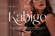 Assent Royale - Luxury Serif, a Serif Font by Annivers Type (Thumbnail 2 of 10)