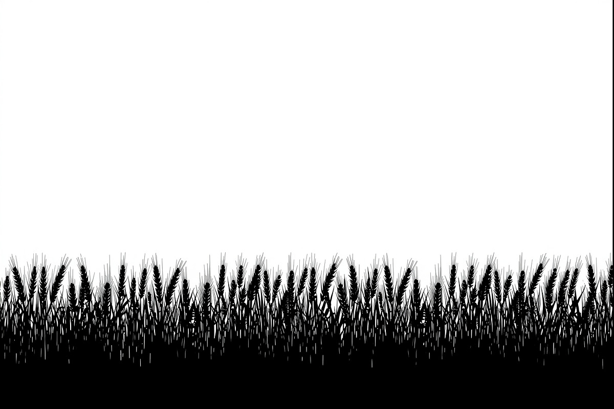 Harvest Wheat Border Designs, an Illustration by Creativeshirt (Photo 8 of 9)