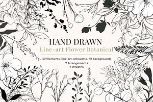 Wild Flowers Botanical Illustration