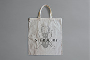 ENTOMOLOGY. Insects Vintage Pack., a Decorative Illustration by Chewie Co (Thumbnail 3 of 11)