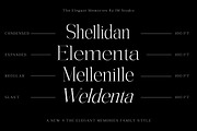 The Elegant Memories ( 32 Fonts ), a Serif Font by IM Studio (Thumbnail 2 of 12)