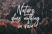 Stinkley, a Script Font by Ditatype (Thumbnail 4 of 6)