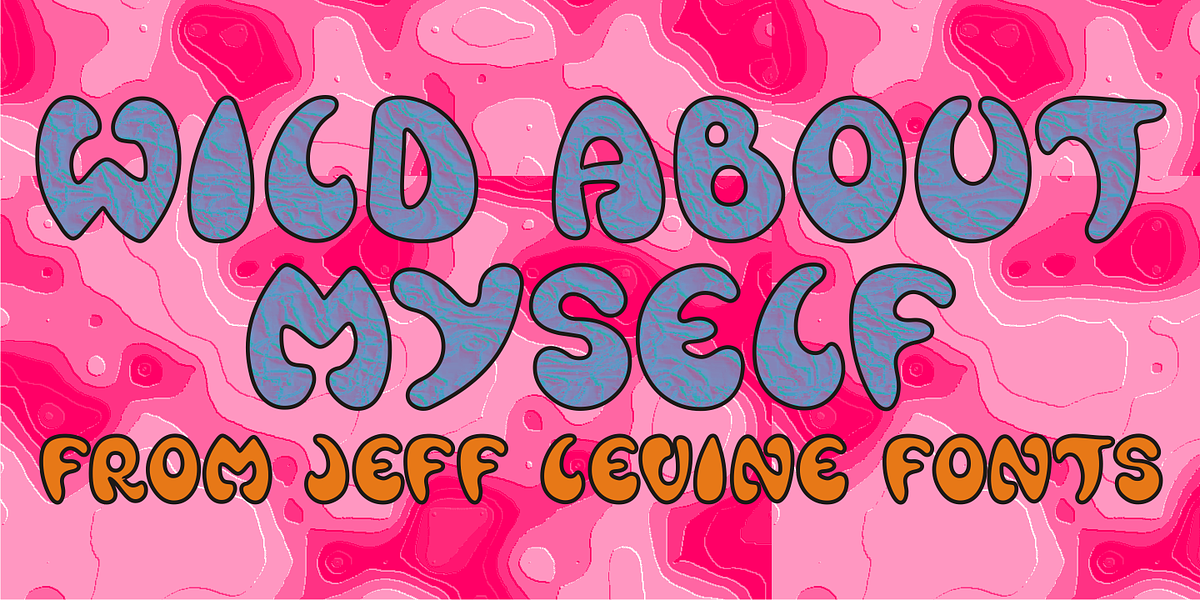 Wild About Myself JNL, a Font by Jeff Levine Fonts