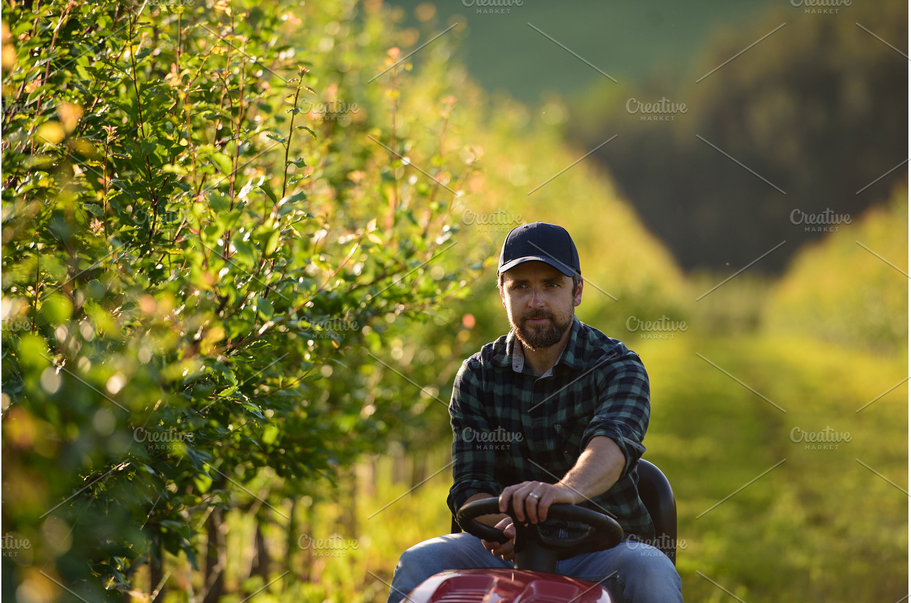Farmer sitting on small tractor in, a Business Photo by HalfPoint