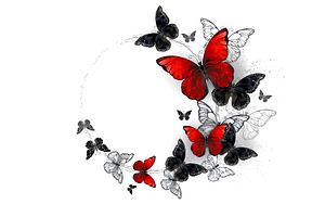 Flight Of Black And Red Butterflies