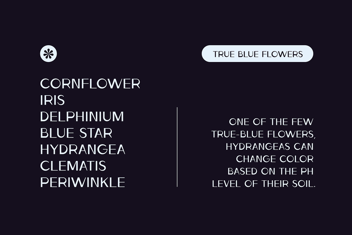 Ludeco Uppercase Modern Display Font, a Sans Serif Font by Wild Ones (Photo 4 of 8)