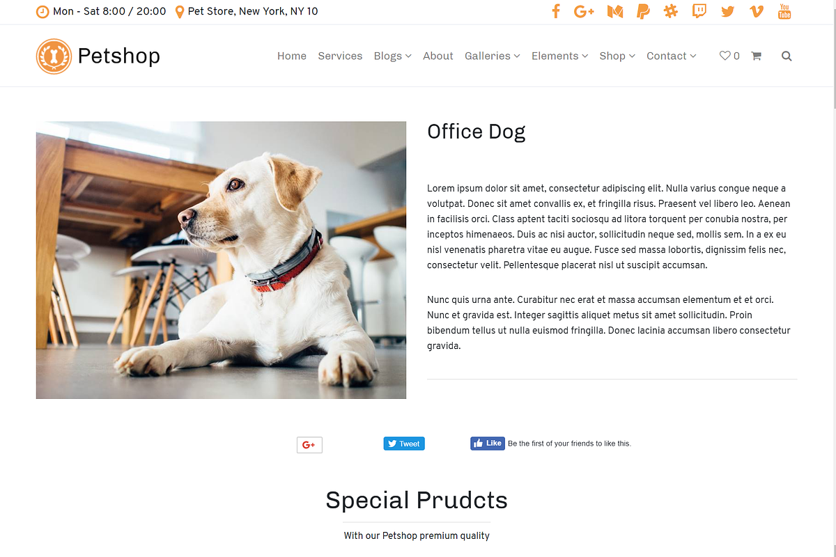 Petshop & Pet Care WordPress Theme, a WordPress Template by Visualmodo (Photo 8 of 30)