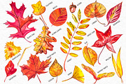 Autumn leaves, a Decorative Illustration by Ann Astro (Thumbnail 3 of 9)