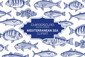 Mediterranean Sea Vector Clipart Set
