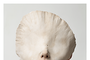Veil Co - Unveiled Emotions Portrait, a Person Illustration by milatovar (Thumbnail 16 of 17)