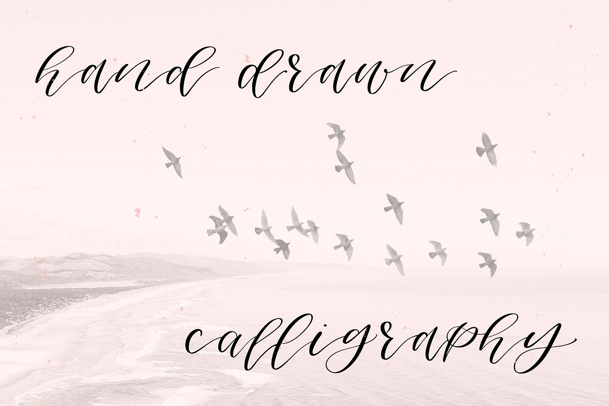 Columbidae Elegant Calligraphy Font preview 4