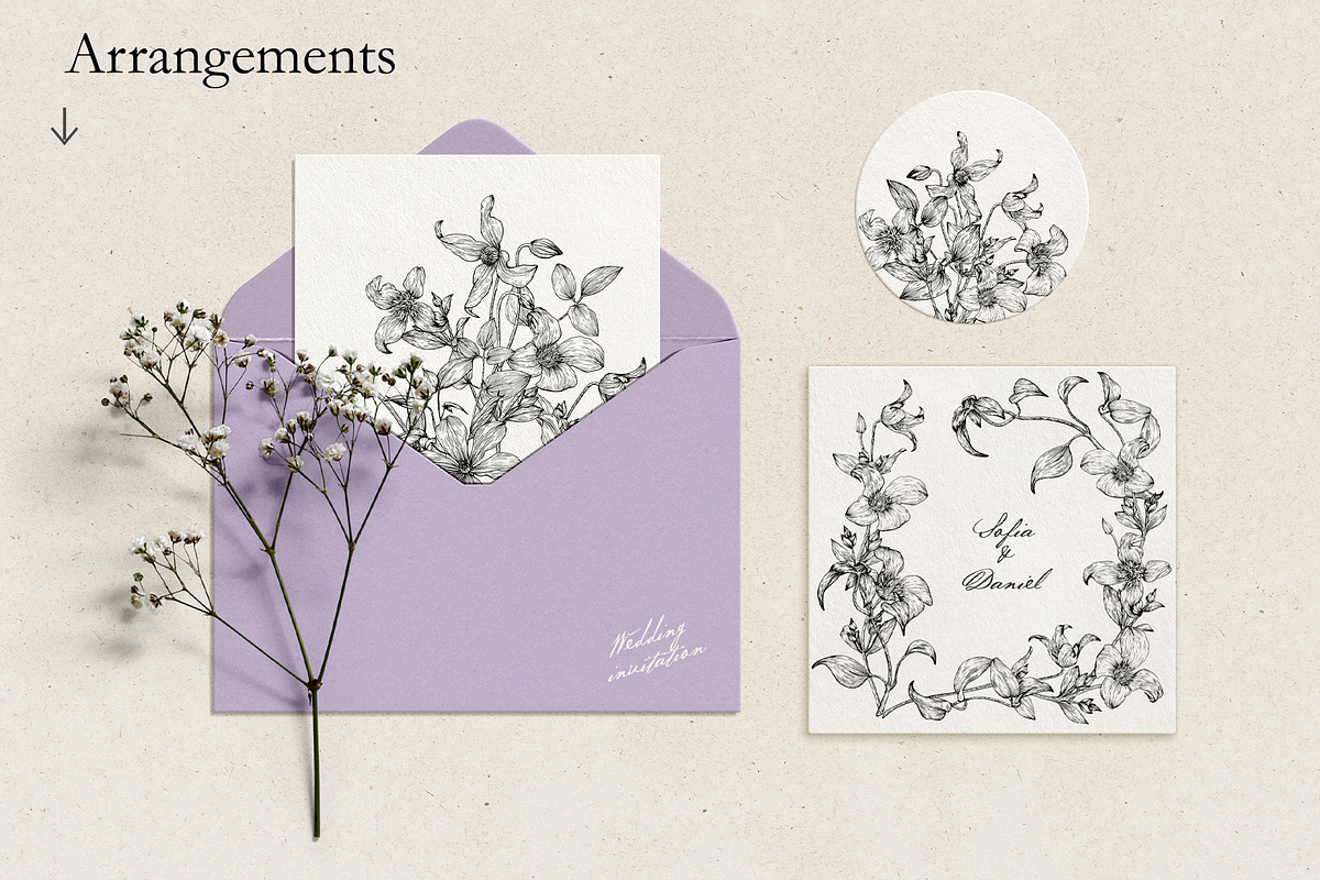 Flowers of Clematis. Botanical Set, a Decorative Illustration by ON_lineart_store (Photo 5 of 10)