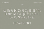 Meghan, a Serif Font by Flawless And Co (Thumbnail 2 of 9)