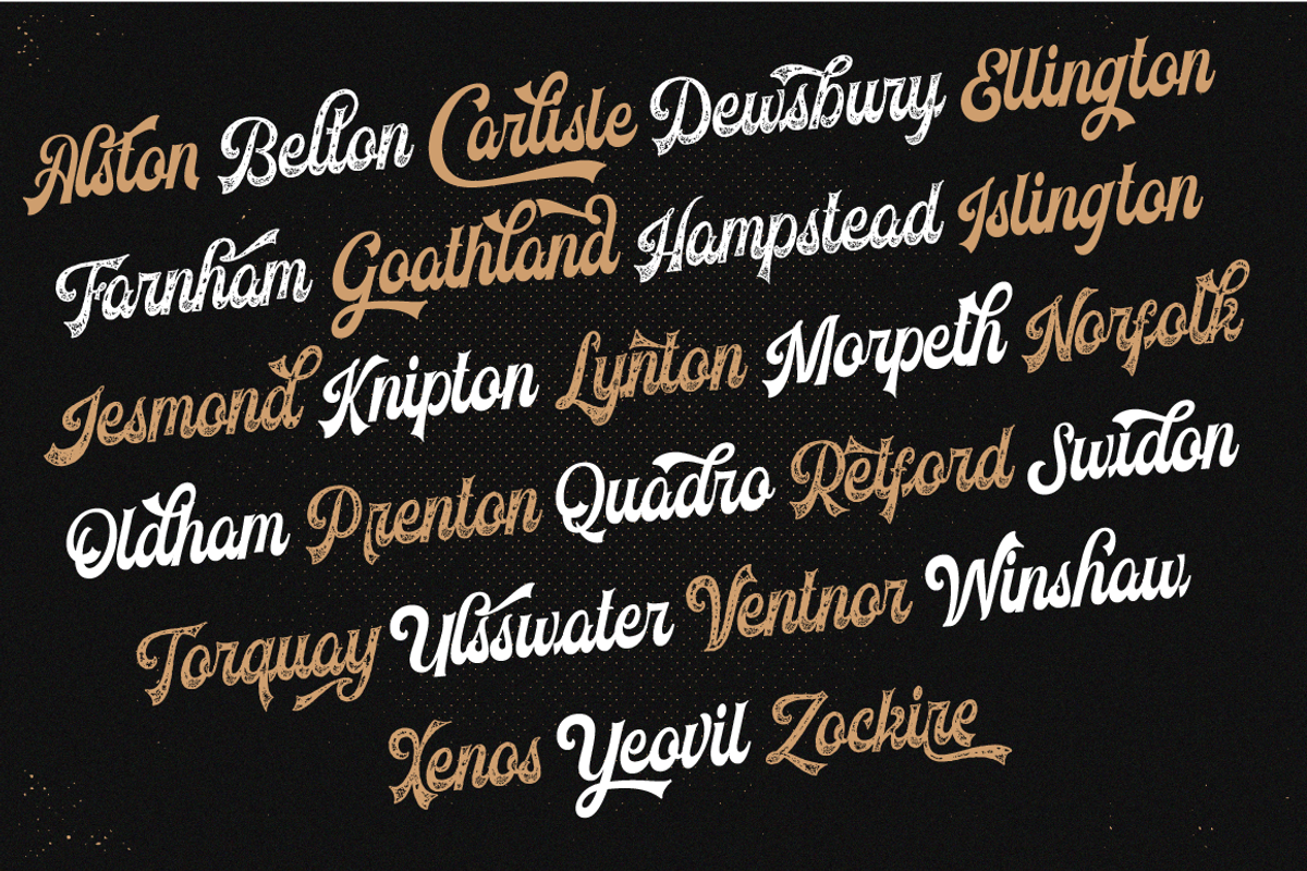Voltury Vintage Script (with extras), a Script Font by Angin Studio (Photo 10 of 11)