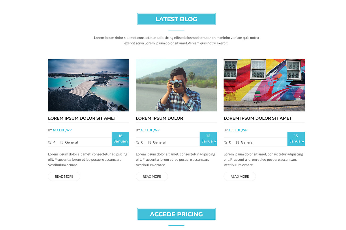 Accede - Agency WordPress Theme, a WordPress Template by Themesvila (Photo 7 of 7)