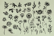 Vintage Herbs & Flowers mega set, an Object Illustration by Garden in frame (Thumbnail 5 of 8)