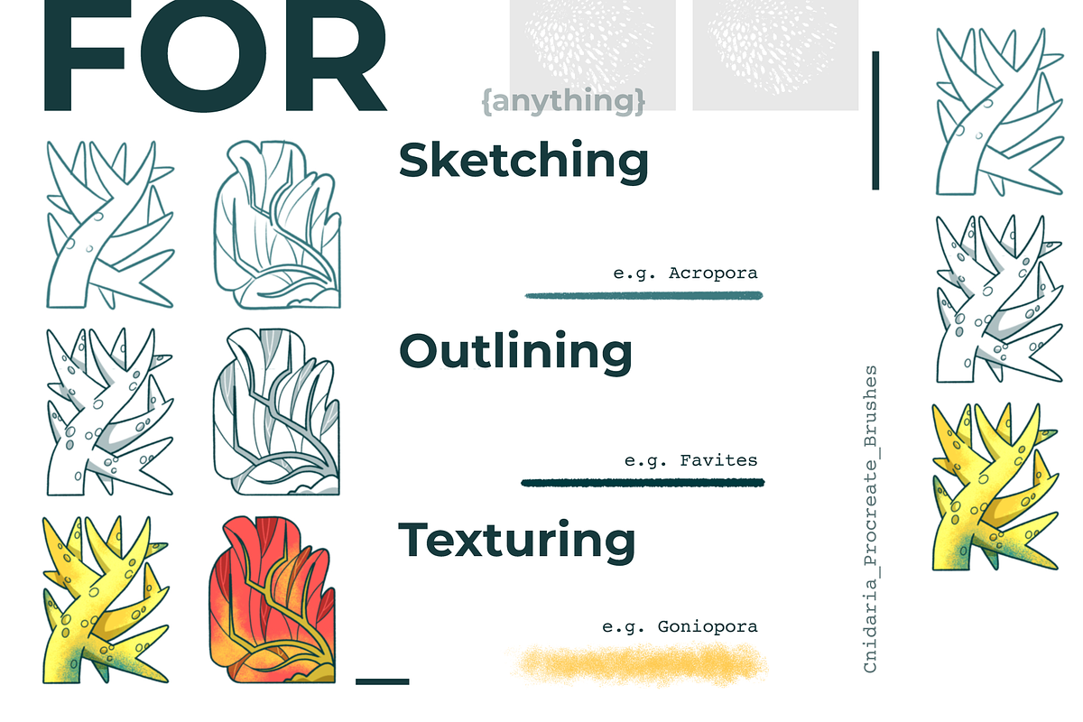 Cnidaria Procreate Brushes Set, a Brush Add-On by so.called.masha (Photo 4 of 7)