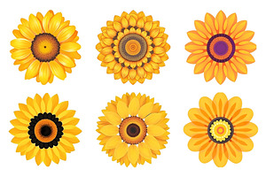 Sunflower Vectors, Sunflower Svg 2