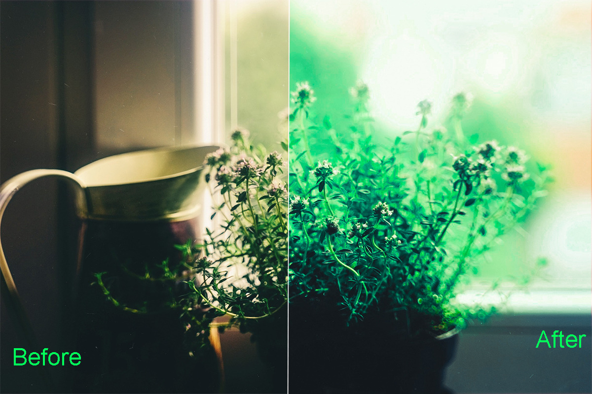Soft Light Photoshop Actions, an Action Add-On by ARTNEST (Photo 9 of 15)