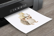 Nursery Clipart Mega Bundle, an Animal Illustration by PaintPixelCo (Thumbnail 7 of 11)