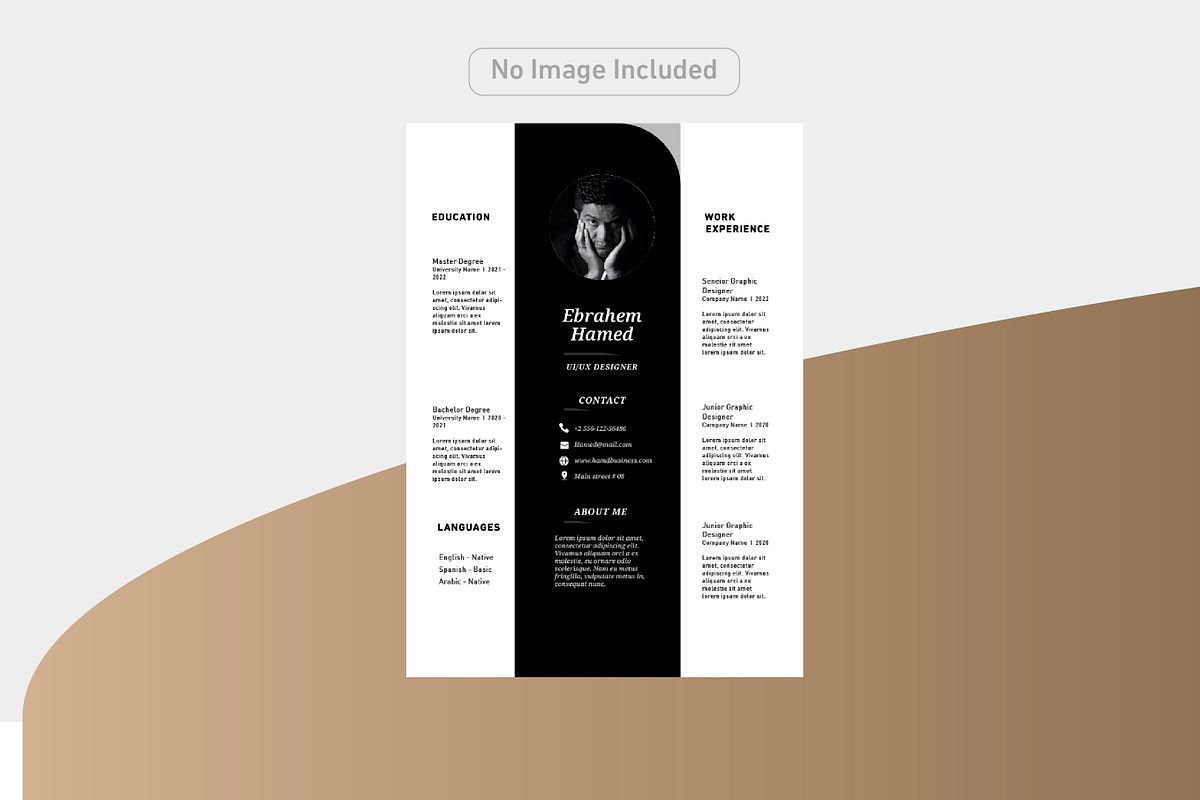 Luxury and simple CV, a Resume Template by Hamed Studio (Photo 2 of 2)