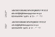 Flagoria Calintha Serif Font Family, a Serif Font by UICreative (Thumbnail 2 of 14)