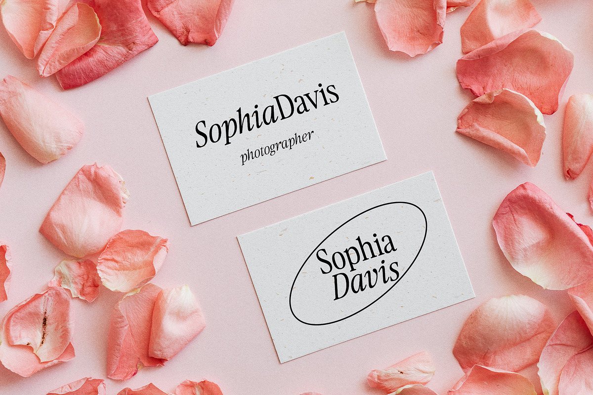 Swiftsage / Vintage Modern Serif, a Script Font by supfonts (Photo 10 of 15)