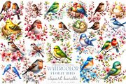 Watercolor Spring Floral Bird PNG, an Illustration by SinaCreation (Thumbnail 1 of 7)