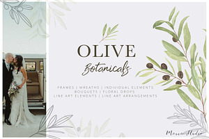 OLIVE BOTANICALS Watercolor & Line